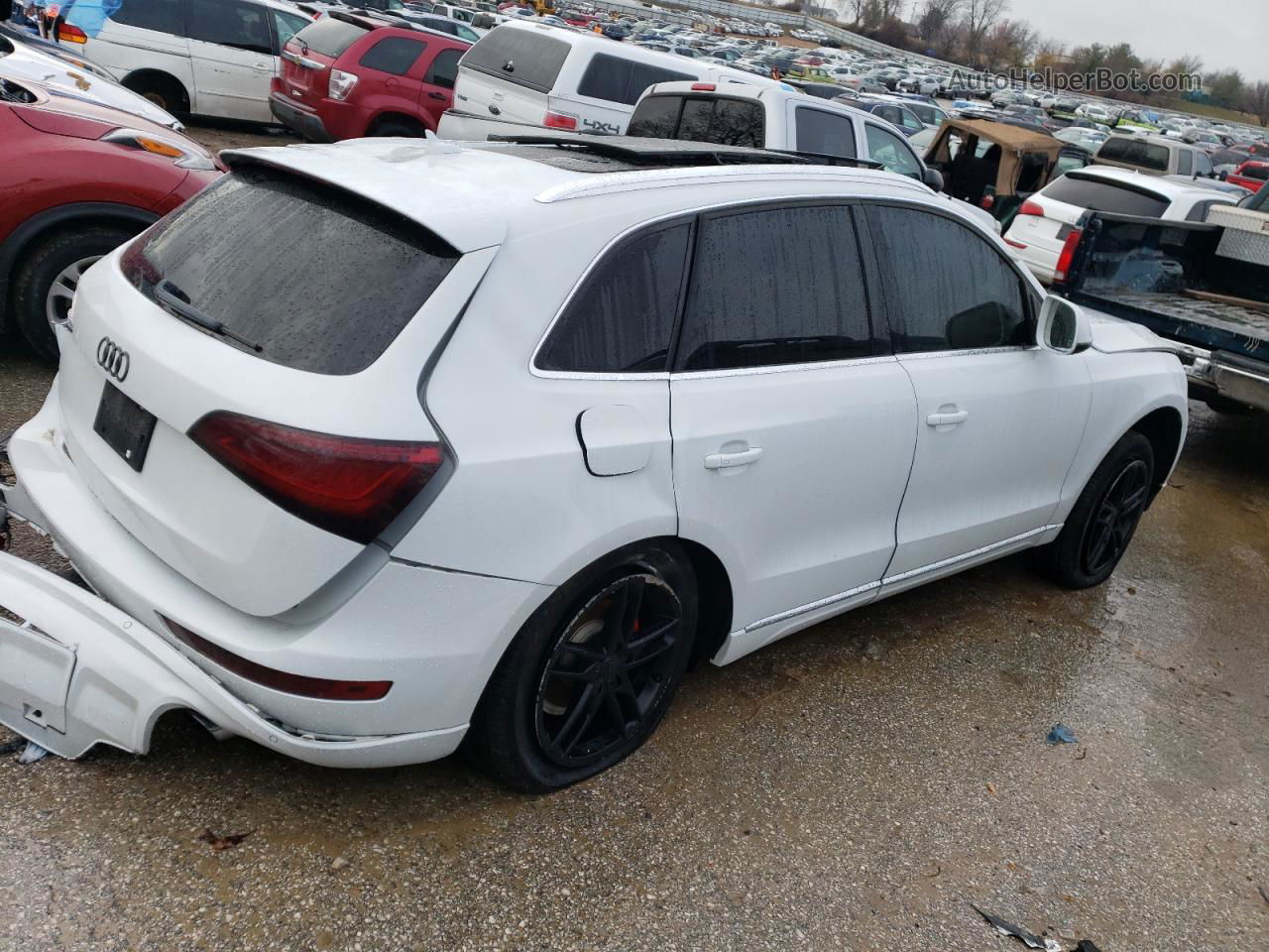 2014 Audi Q5 Premium Plus White vin: WA1LFAFP8EA089849