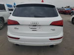 2014 Audi Q5 Premium Plus White vin: WA1LFAFP8EA125247