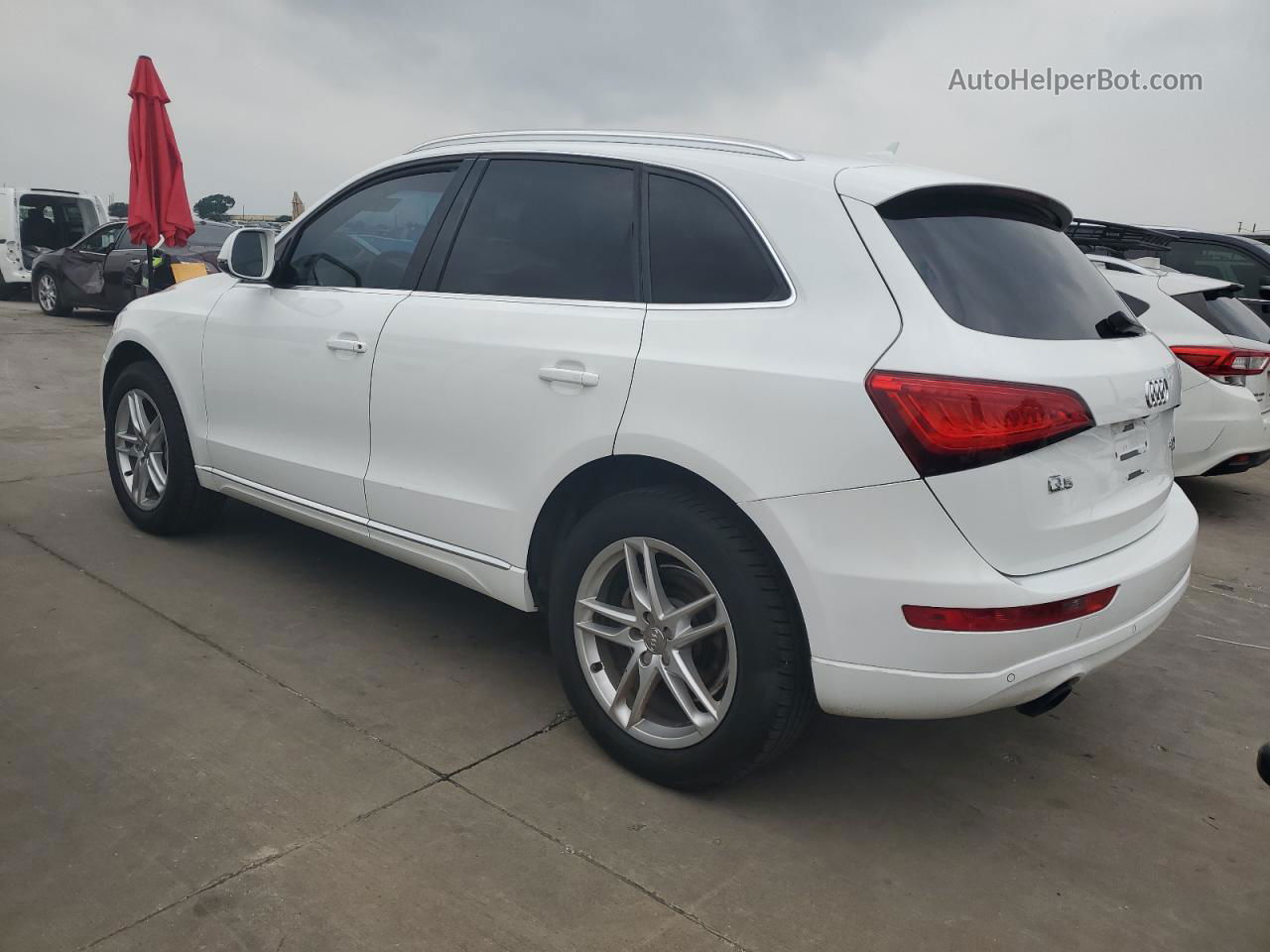 2014 Audi Q5 Premium Plus White vin: WA1LFAFP8EA125247