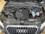 2014 Audi Q5 Premium Plus Blue vin: WA1LFAFP9EA008986