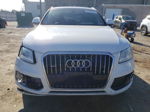 2014 Audi Q5 Premium Plus White vin: WA1LFAFP9EA073823