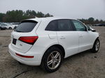 2014 Audi Q5 Premium Plus White vin: WA1LFAFPXEA047179