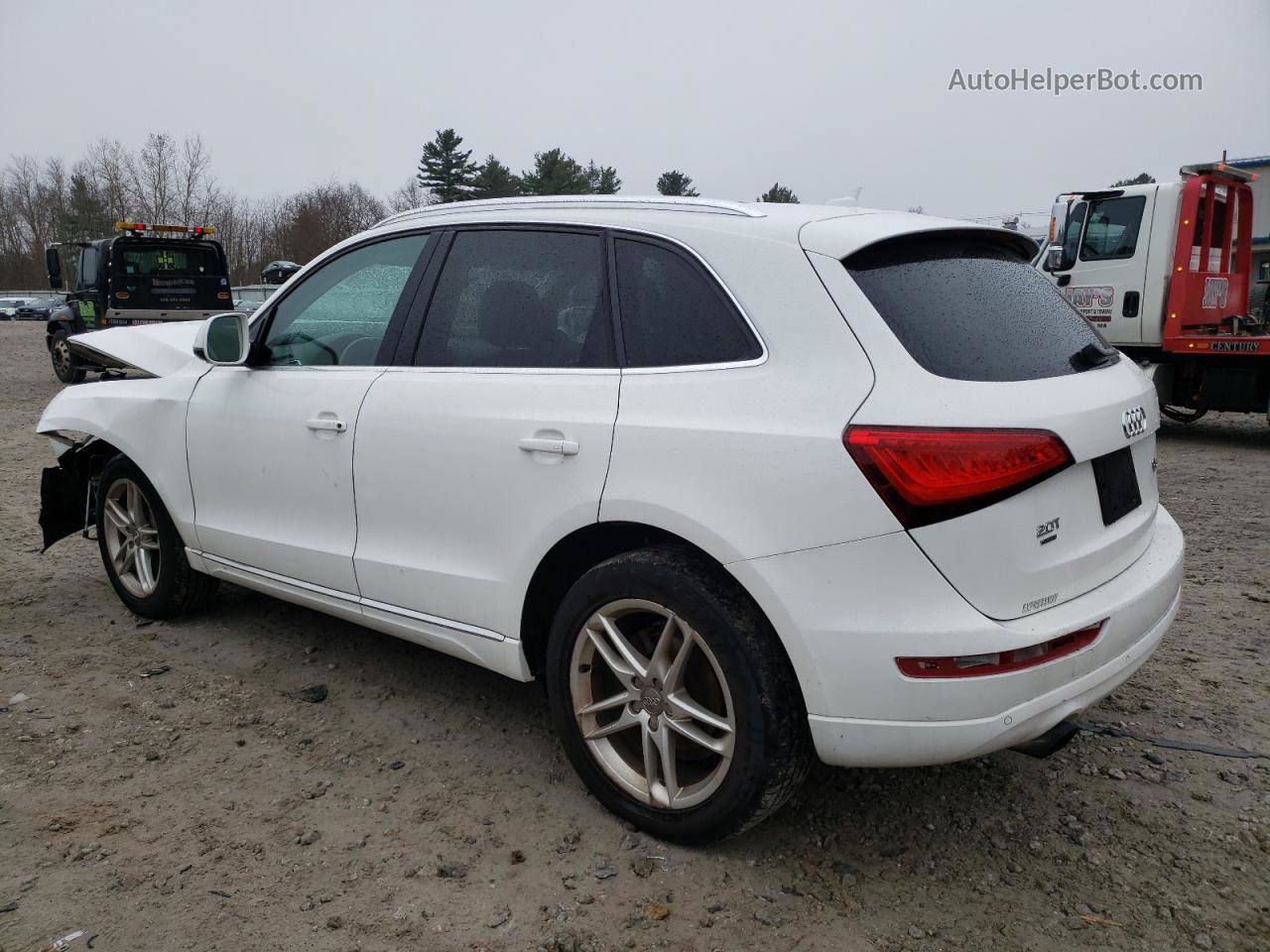 2014 Audi Q5 Premium Plus White vin: WA1LFAFPXEA047179