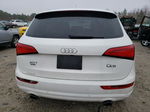 2014 Audi Q5 Premium Plus White vin: WA1LFAFPXEA047179