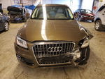 2014 Audi Q5 Premium Plus Brown vin: WA1LFBFP5EA101929