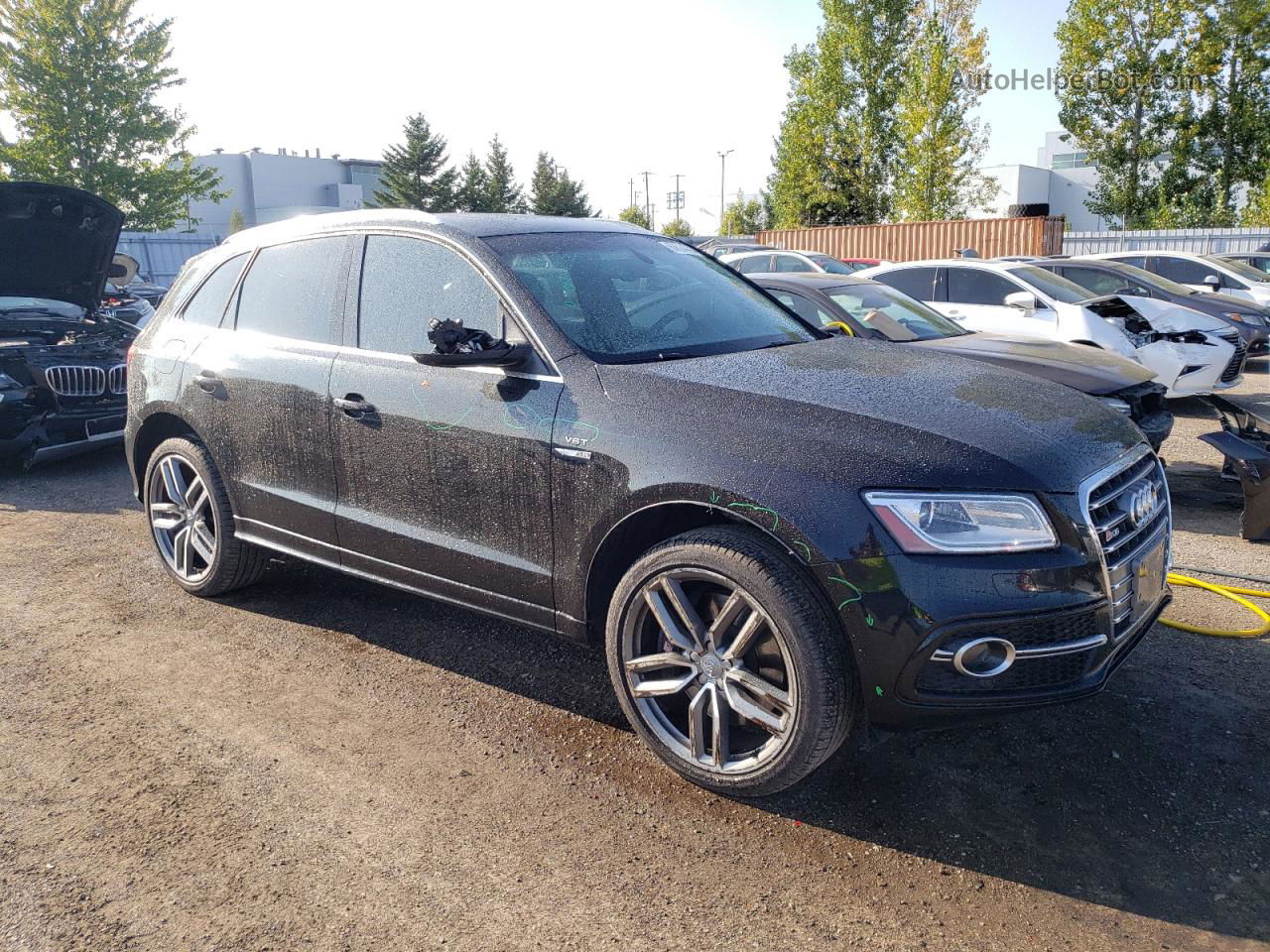 2014 Audi Q5 Premium Plus Black vin: WA1LGCFP8EA037808