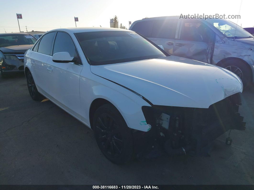 2013 Audi A4 2.0t Premium White vin: WAUAFAFL0DN036836