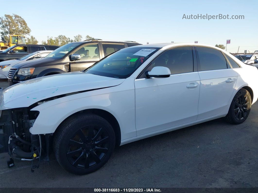 2013 Audi A4 2.0t Premium White vin: WAUAFAFL0DN036836