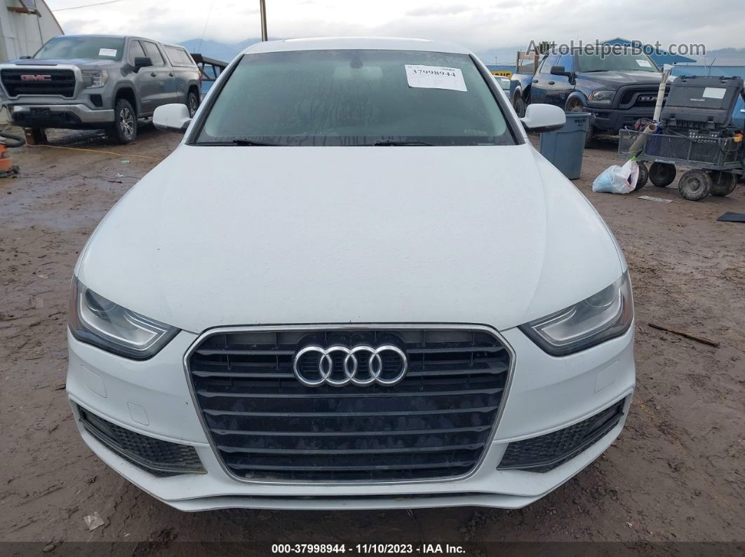 2014 Audi A4 2.0t Premium White vin: WAUAFAFL3EA077227