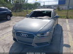 2013 Audi A4 2.0t Premium Серый vin: WAUAFAFL7DN014994