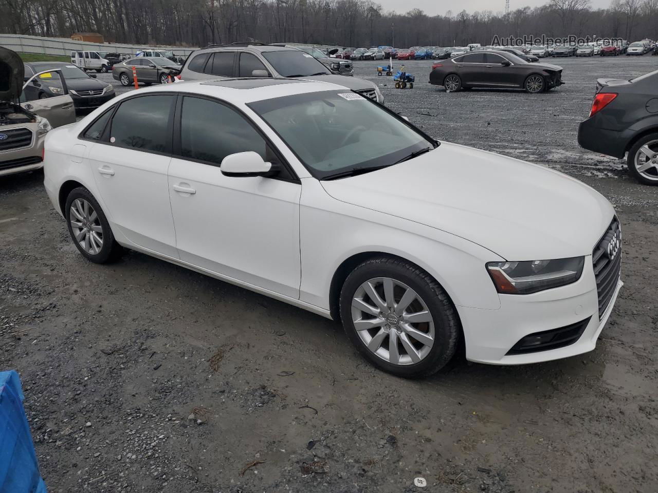 2014 Audi A4 Premium White vin: WAUAFBFL9EA080414