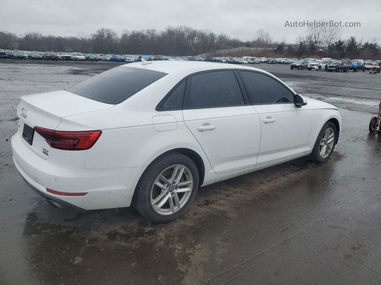 2017 Audi A4 Premium White vin: WAUANAF49HN015615