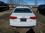 2014 Audi A4 Premium White vin: WAUBFAFL0EN013983