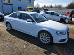 2014 Audi A4 Premium White vin: WAUBFAFL0EN013983