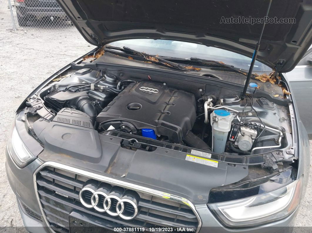 2014 Audi A4 Premium Серый vin: WAUBFAFL3EN045651