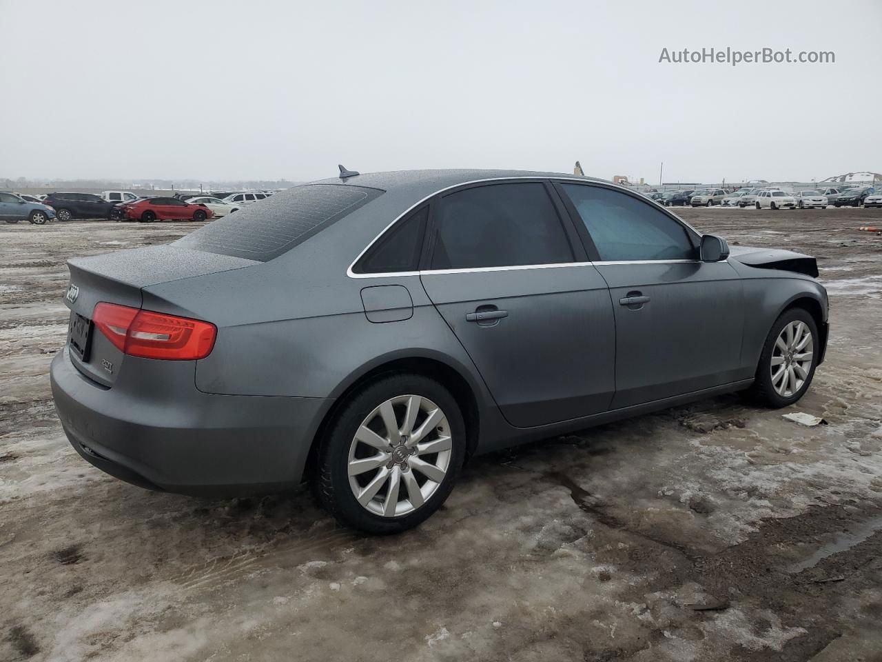 2013 Audi A4 Premium Серый vin: WAUBFAFL4DN036634