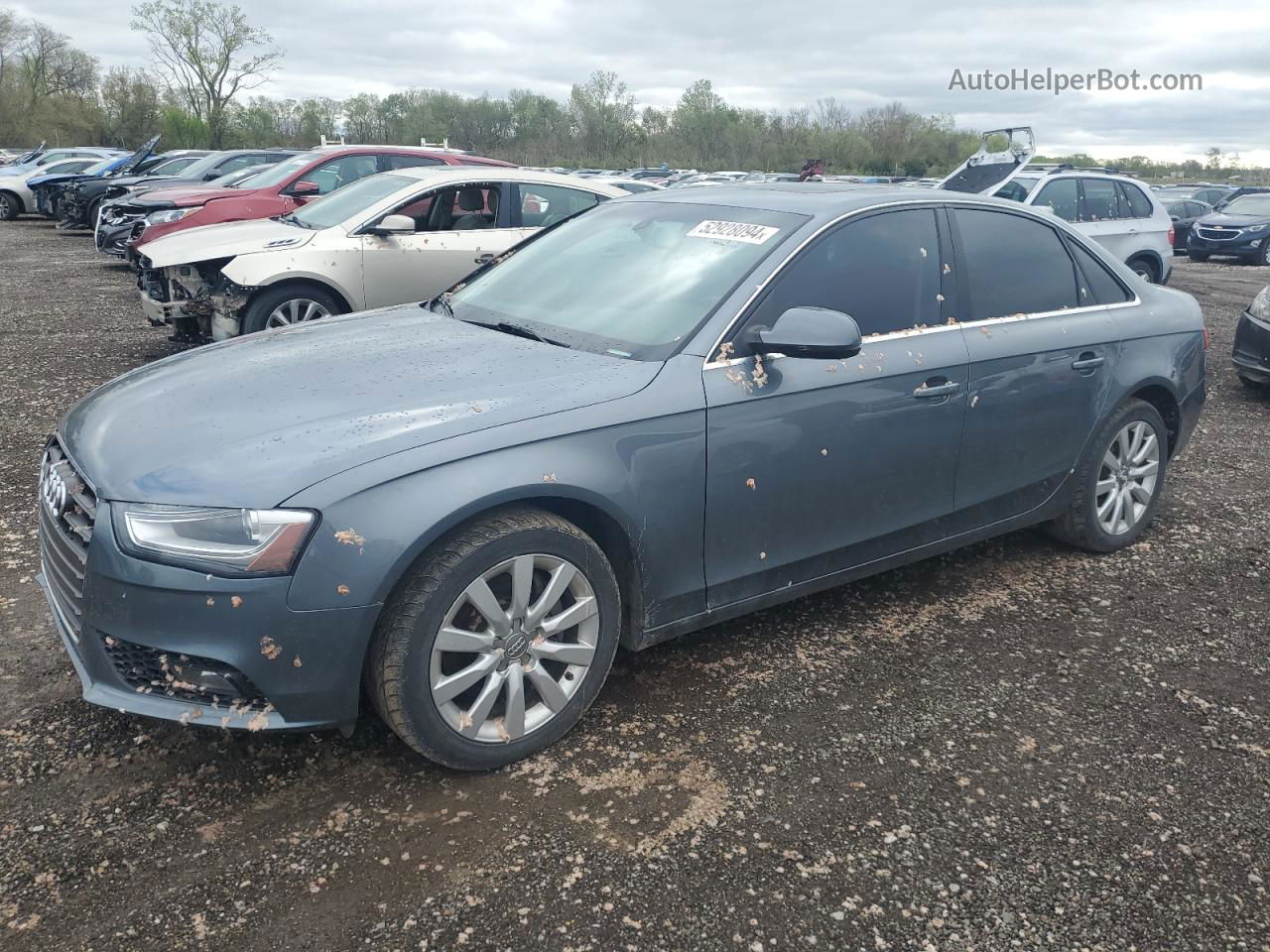 2013 Audi A4 Premium Серый vin: WAUBFAFL4DN036634