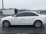 2016 Audi A4 2.0t Premium White vin: WAUBFAFL6GN015613