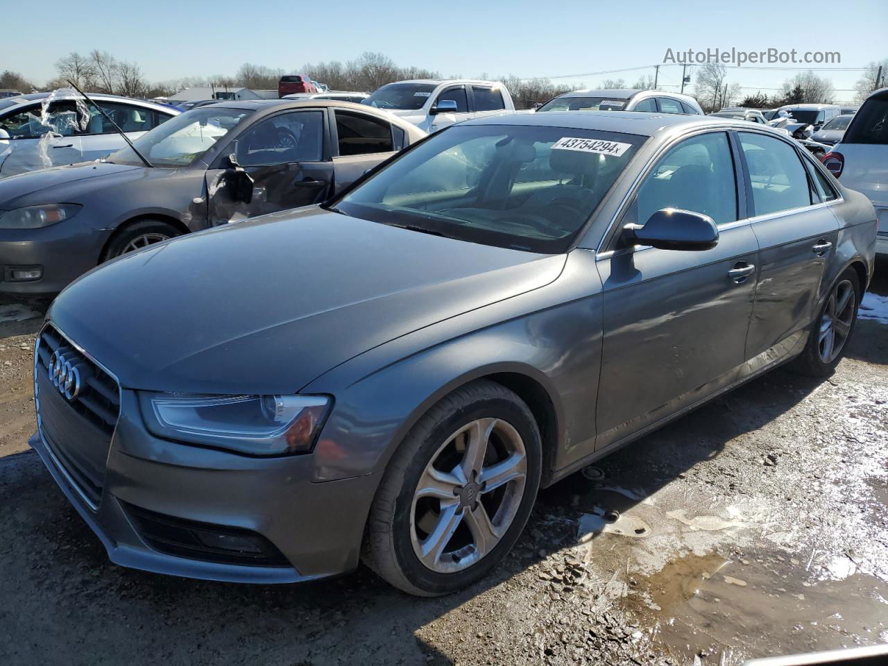 2013 Audi A4 Premium Серый vin: WAUBFAFLXDN013021