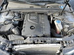 2013 Audi A4 Premium Gray vin: WAUBFCFL9DN027679