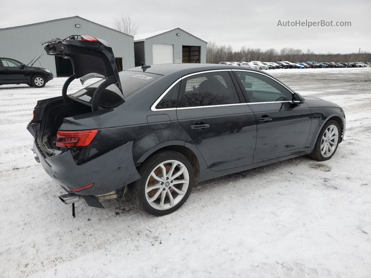 2017 Audi A4 Progressiv Серый vin: WAUBNAF45HN006981