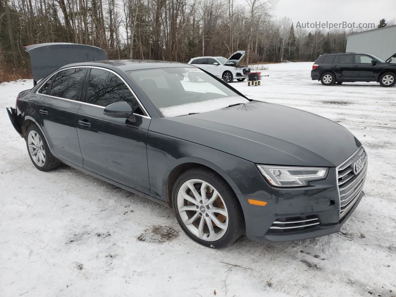 2017 Audi A4 Progressiv Gray vin: WAUBNAF45HN006981