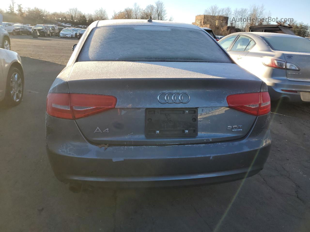 2013 Audi A4 Premium Серый vin: WAUDFAFL3DN038688