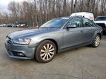 2014 Audi A4 Premium Gray vin: WAUDFAFL3EN023416