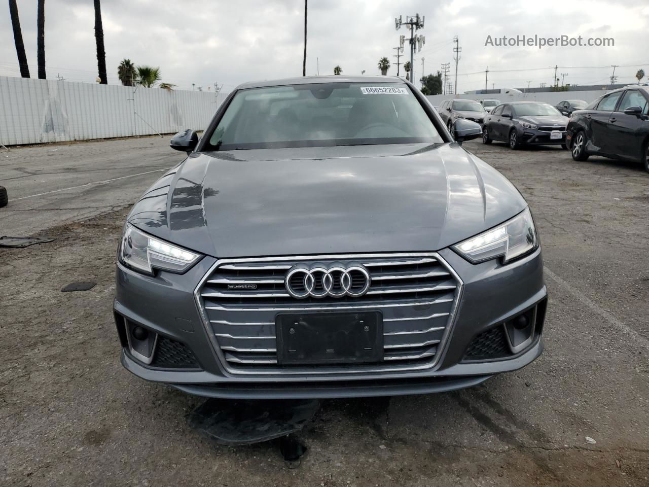 2019 Audi A4 Premium Gray vin: WAUDNAF4XKA044729