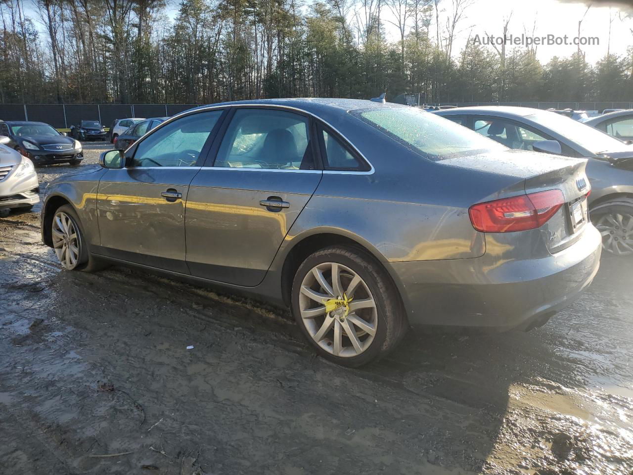 2013 Audi A4 Premium Plus Gray vin: WAUEFAFL2DN033292