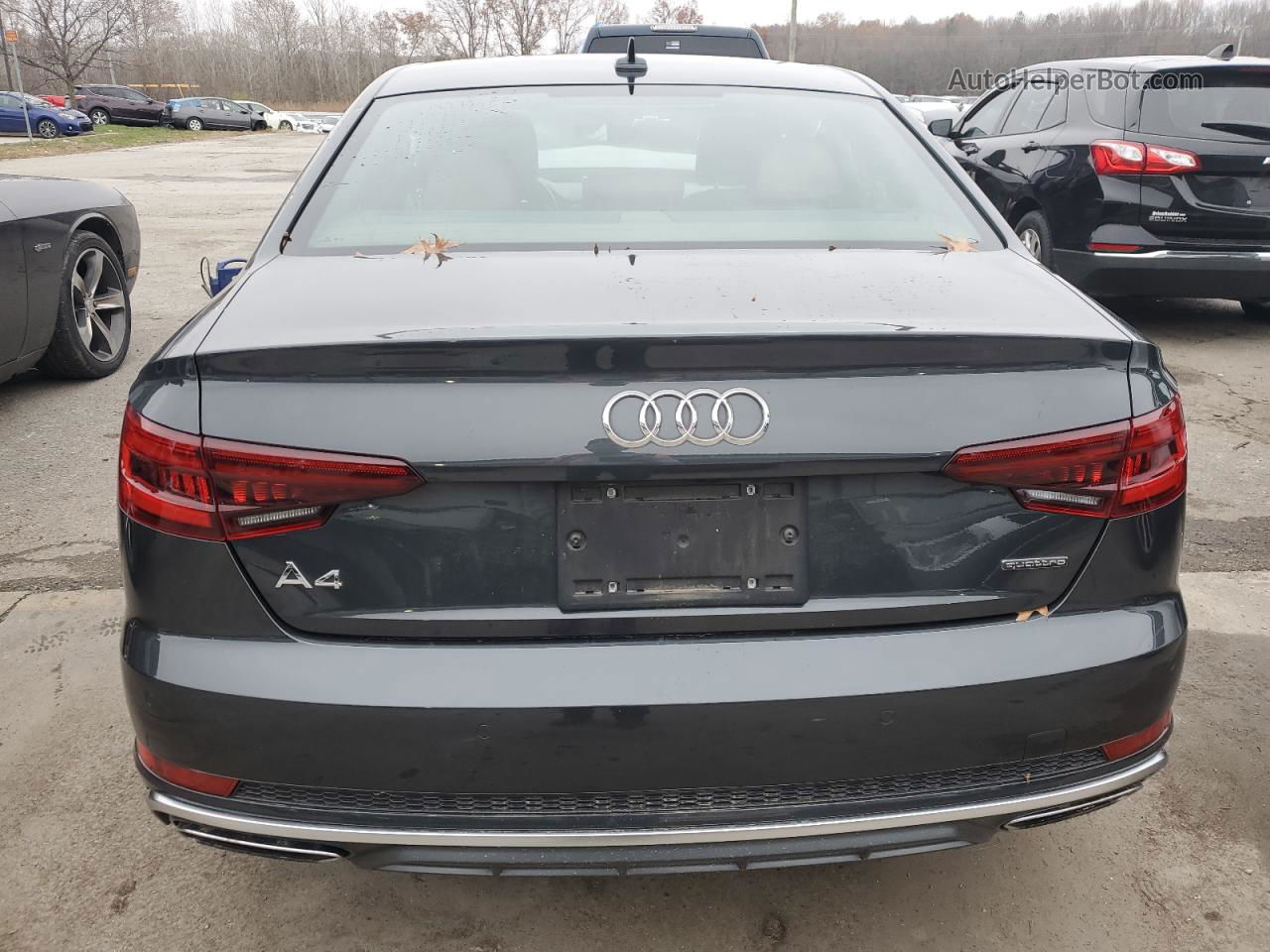 2019 Audi A4 Premium Plus Gray vin: WAUENAF40KA062662