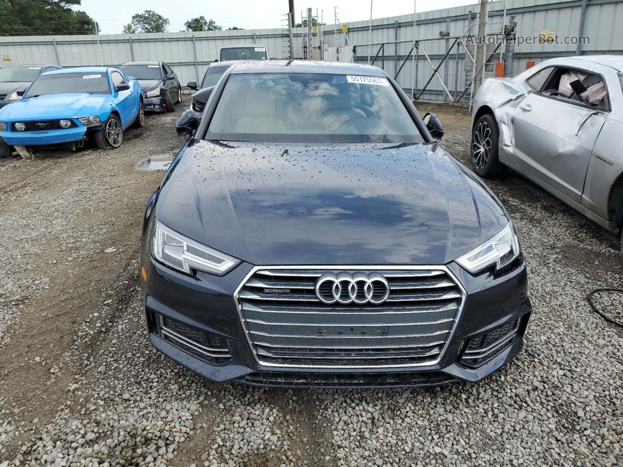 2017 Audi A4 Premium Plus Blue vin: WAUENAF46HN025438