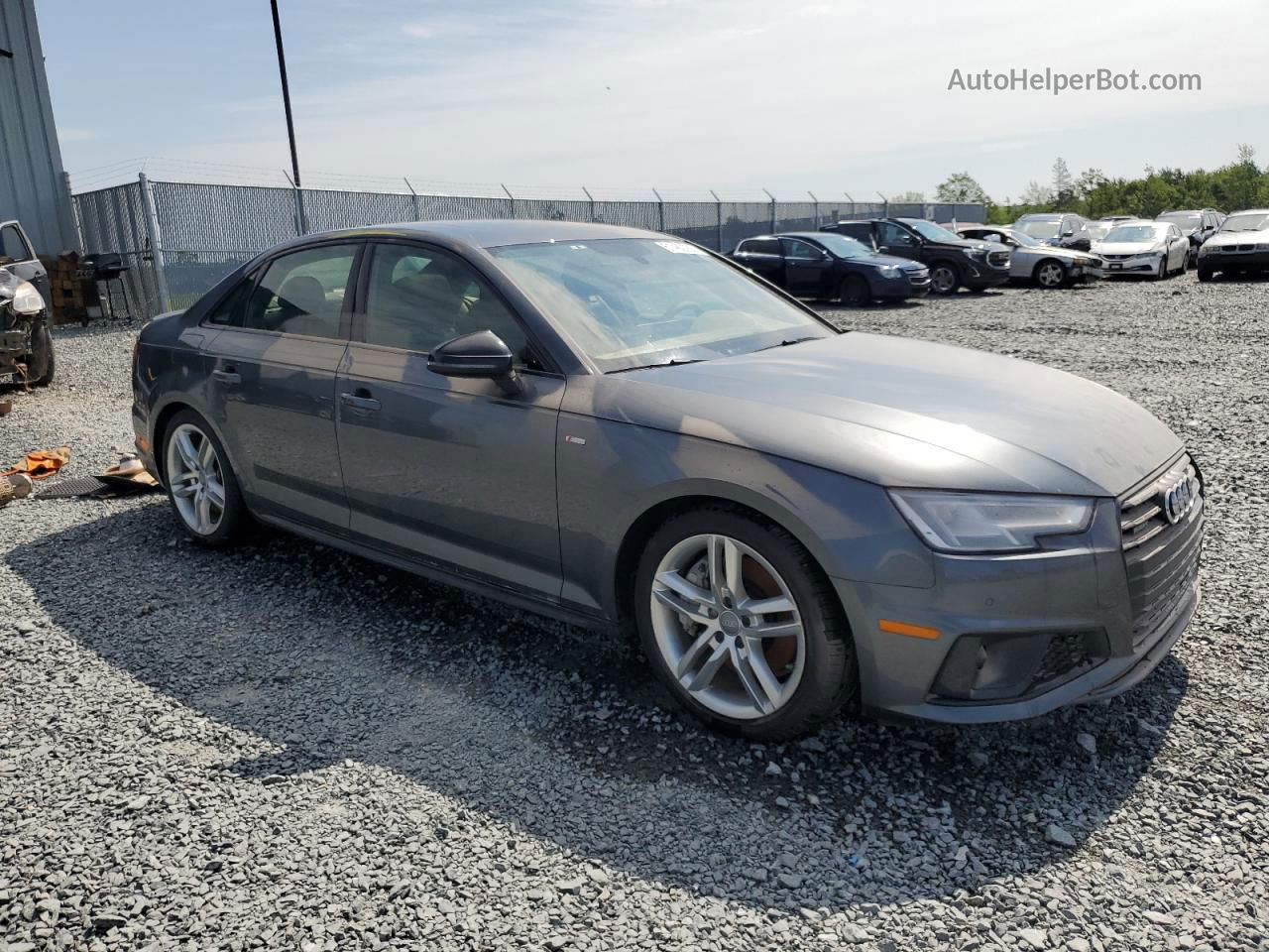 2019 Audi A4 Premium Plus Gray vin: WAUENAF48KA008820