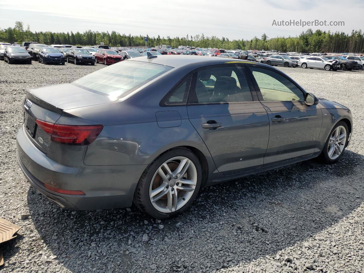 2019 Audi A4 Premium Plus Gray vin: WAUENAF48KA008820