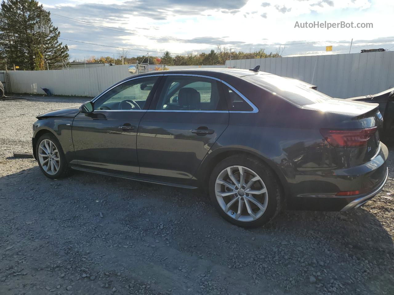 2019 Audi A4 Premium Plus Gray vin: WAUENAF48KA095991