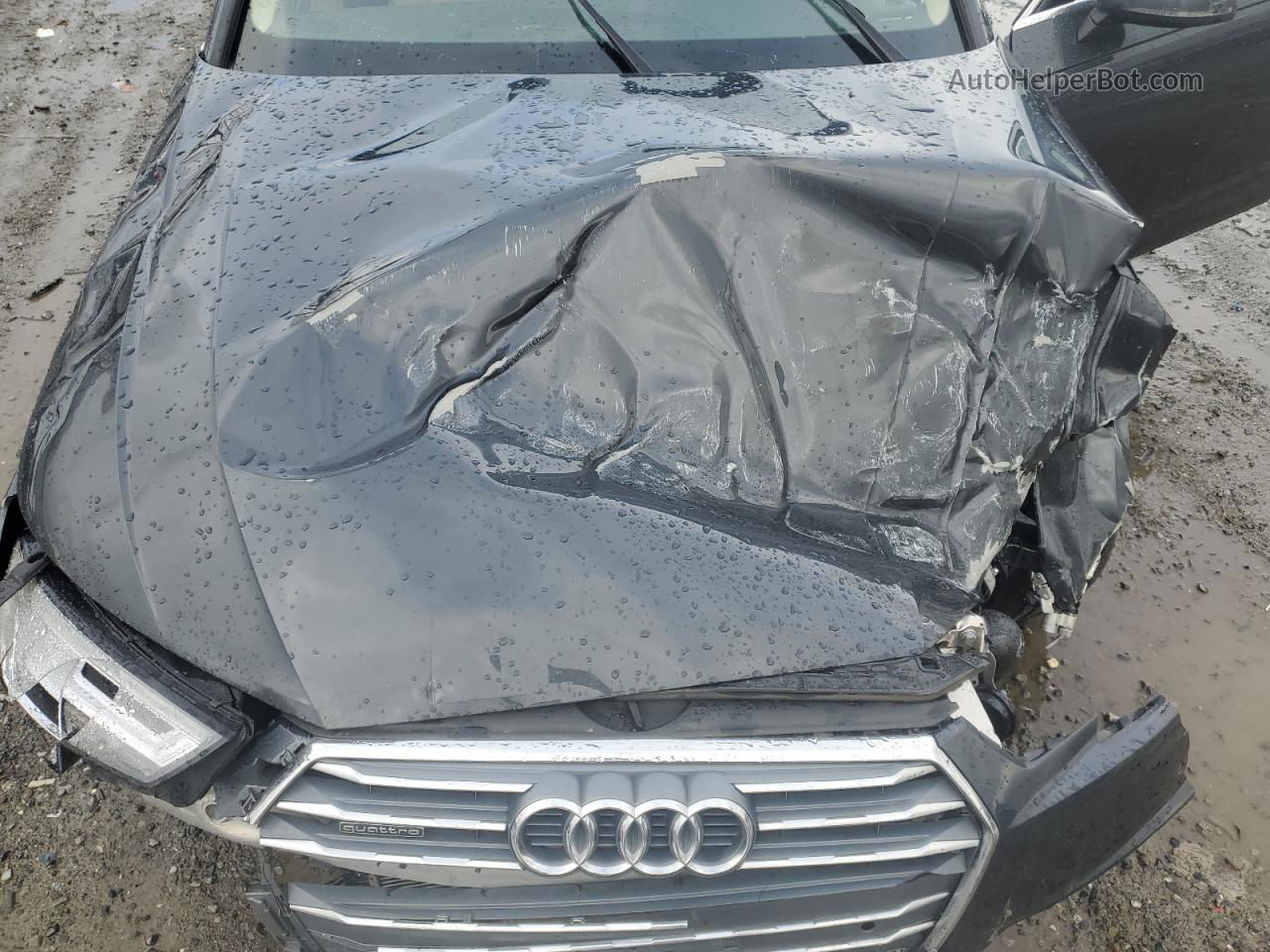 2019 Audi A4 Premium Plus Gray vin: WAUENAF49KN007930