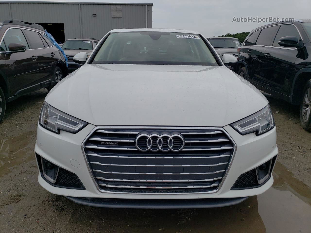 2019 Audi A4 Premium Plus White vin: WAUENAF4XKN003207