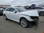 2019 Audi A4 Premium Plus White vin: WAUENAF4XKN014353