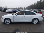 2013 Audi A4 2.0t Premium Белый vin: WAUFFAFL1DN035698