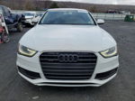 2014 Audi A4 Premium Plus Белый vin: WAUFFAFL2EN018832