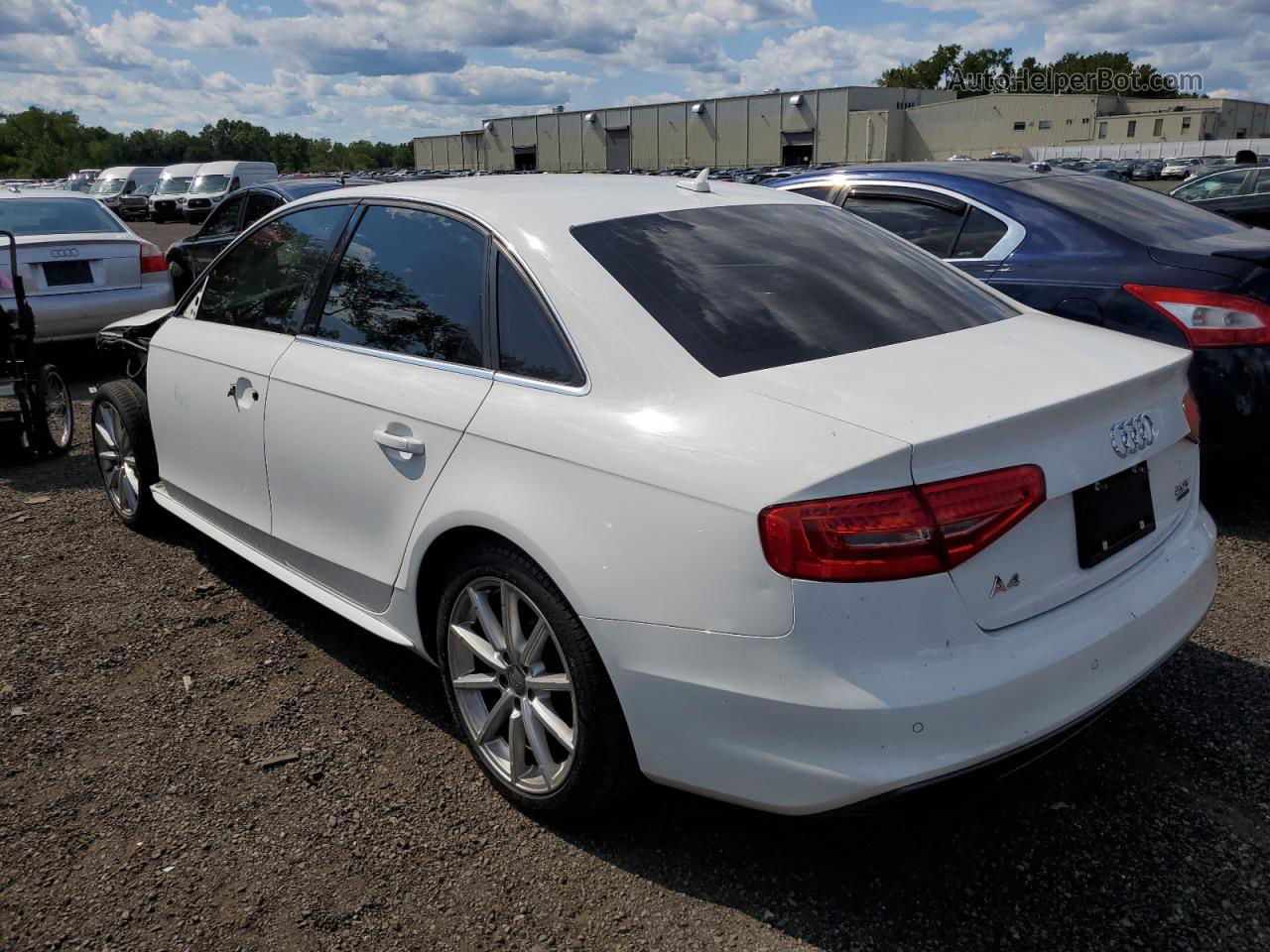 2016 Audi A4 Premium Plus S-line White vin: WAUFFAFL2GN002908