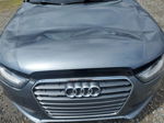 2013 Audi A4 Premium Plus Gray vin: WAUFFAFL4DN035193