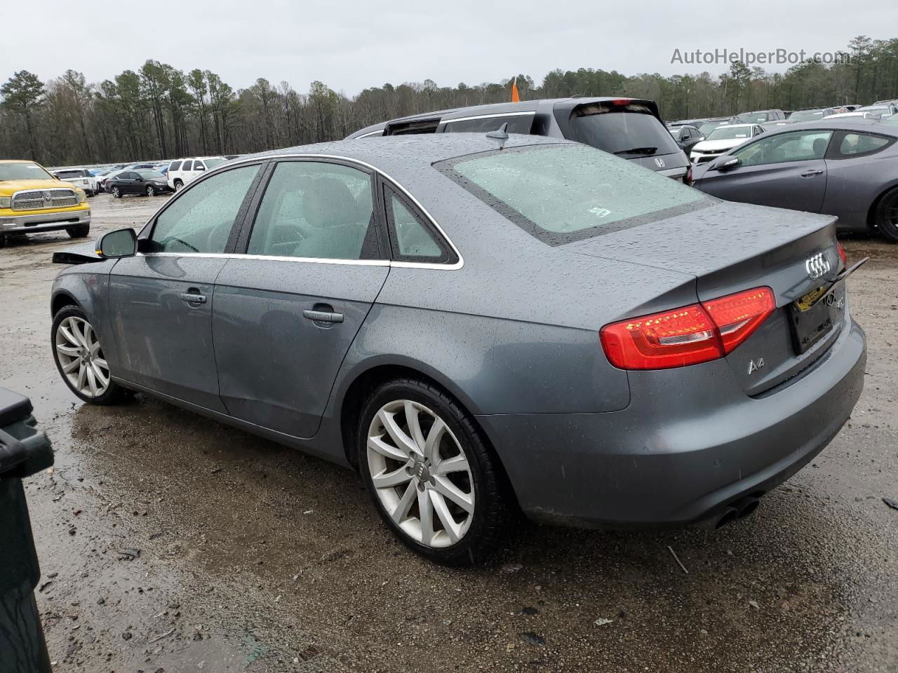 2013 Audi A4 Premium Plus Gray vin: WAUFFAFL4DN037557