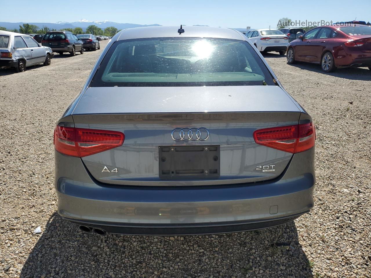 2014 Audi A4 Premium Plus Gray vin: WAUFFAFL4EA086282