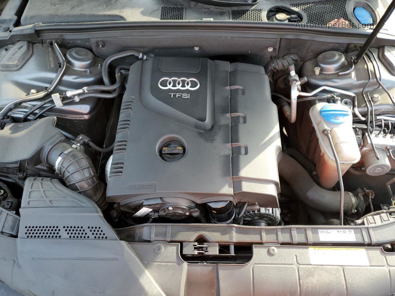 2013 Audi A4 Premium Plus Серый vin: WAUFFAFL5DN011162