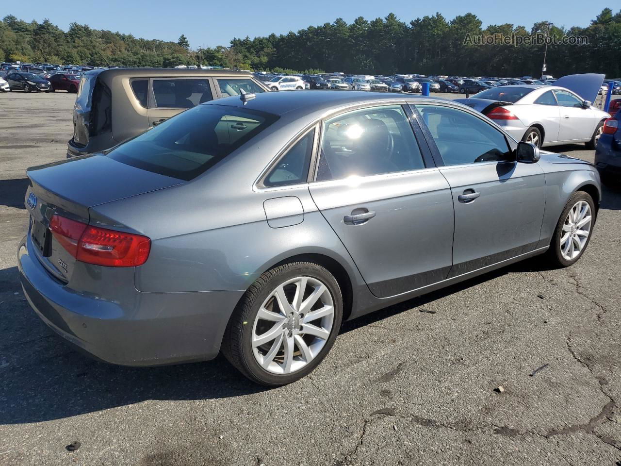 2013 Audi A4 Premium Plus Gray vin: WAUFFAFL6DN028343