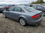 2013 Audi A4 Premium Plus Gray vin: WAUFFAFL8DN014363