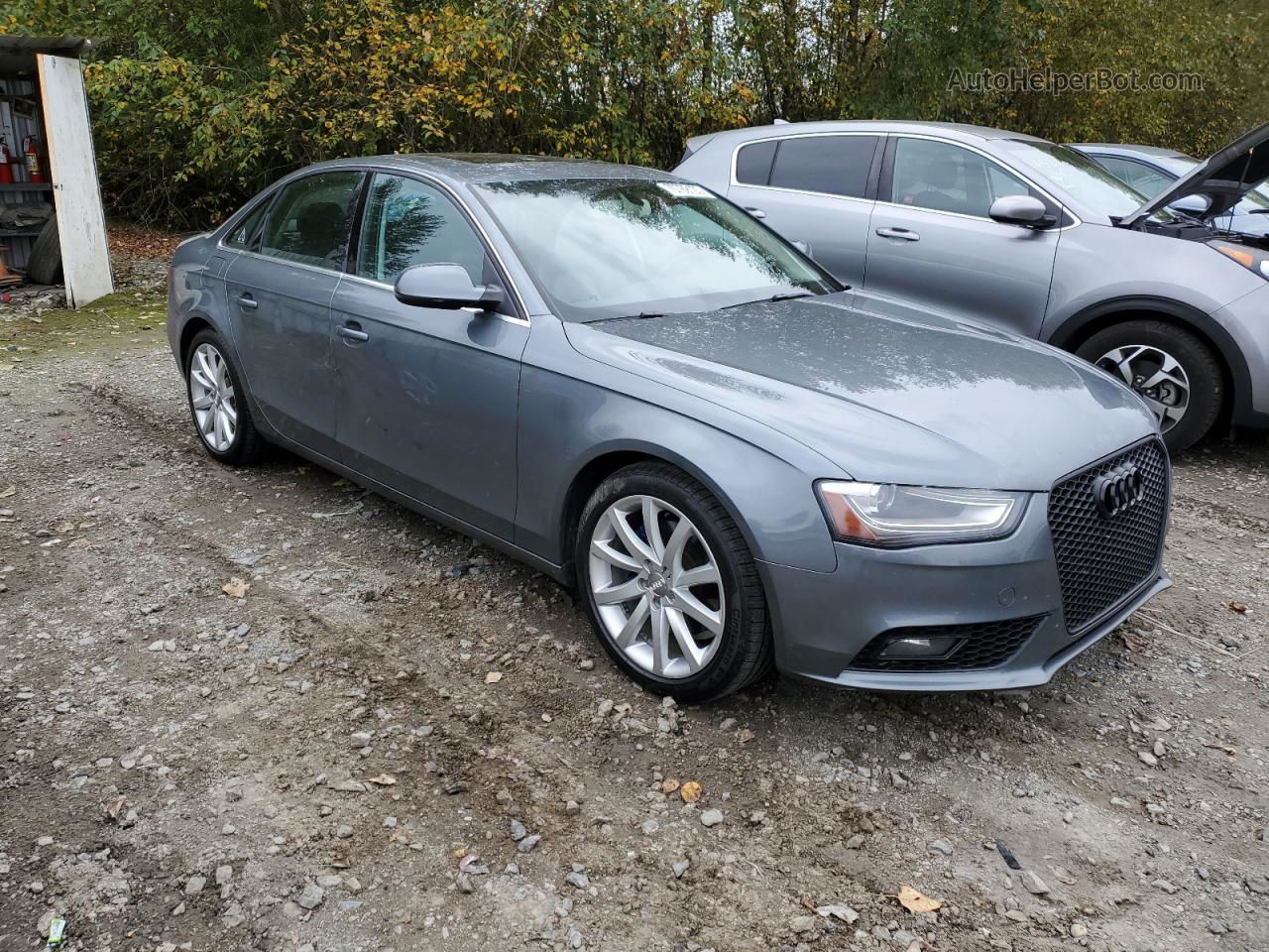 2013 Audi A4 Premium Plus Gray vin: WAUFFAFL8DN014363