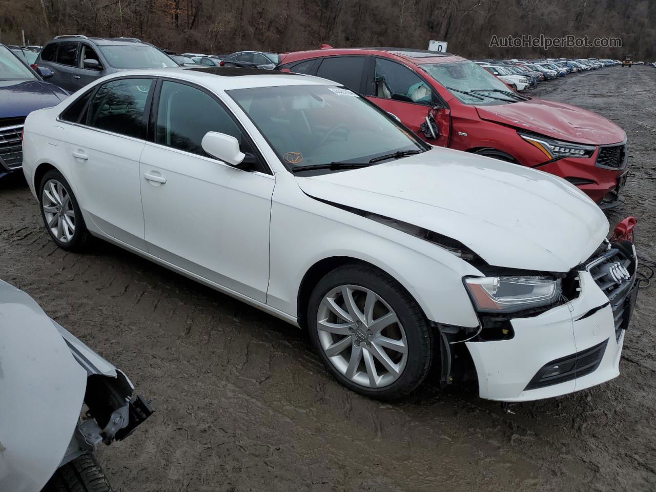 2013 Audi A4 Premium Plus White vin: WAUFFAFL8DN047783