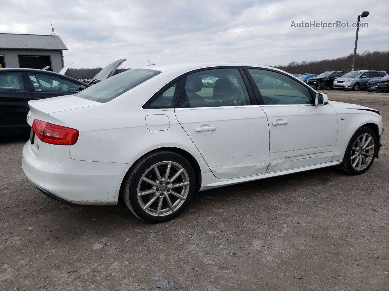 2014 Audi A4 Premium Plus Белый vin: WAUFFAFL8EN010668